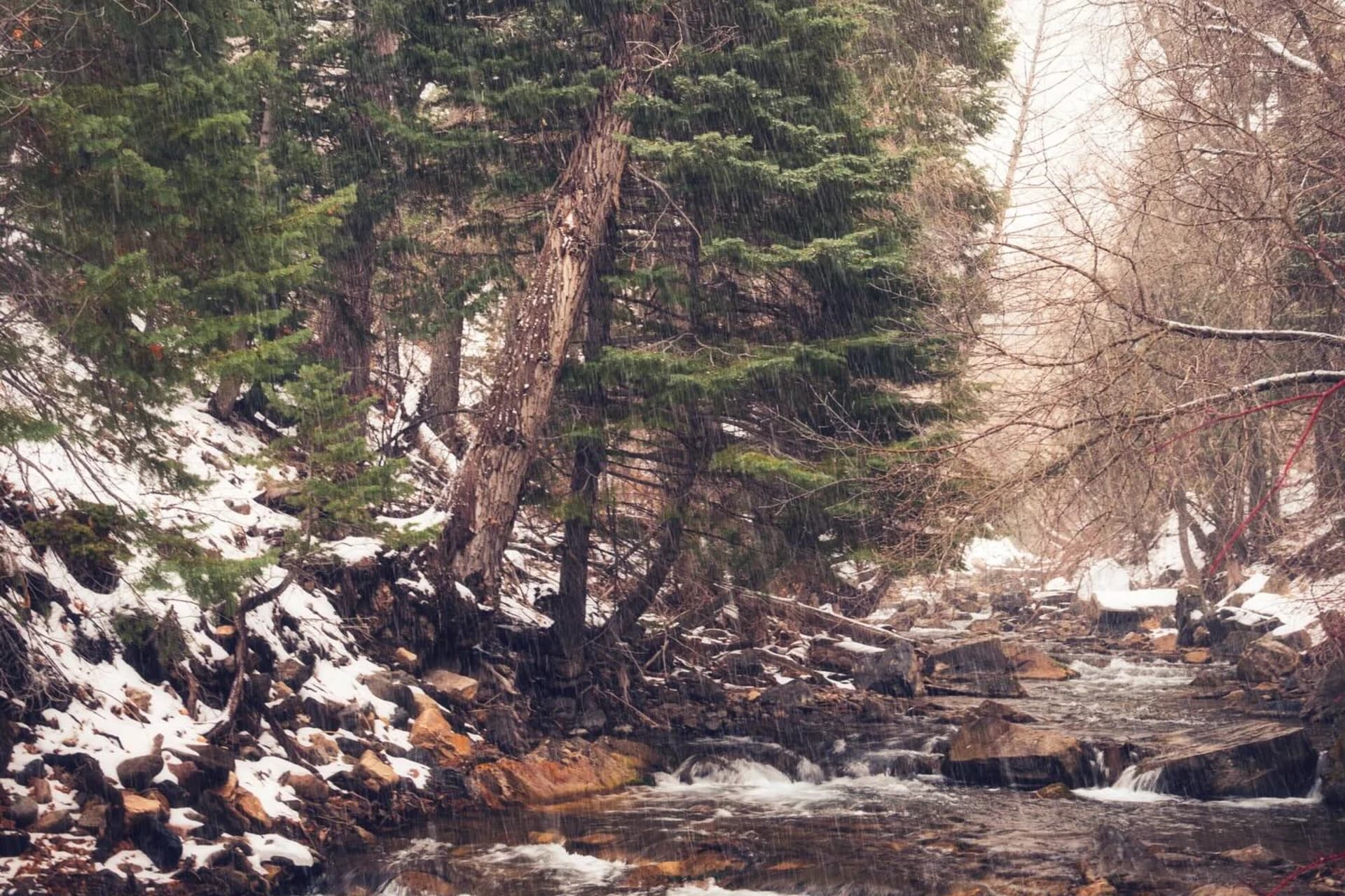 American Fork preview photo