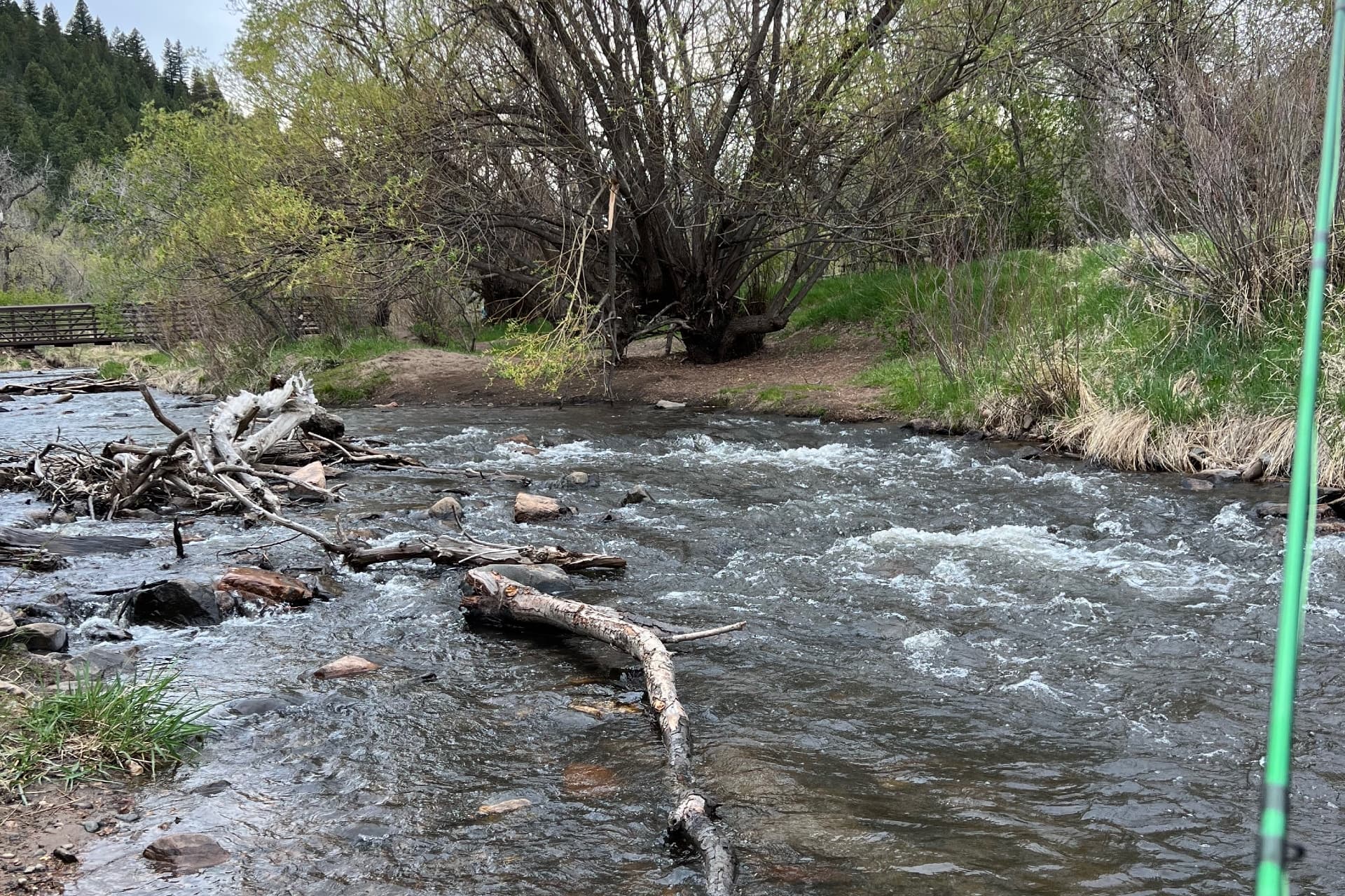 Bear Creek