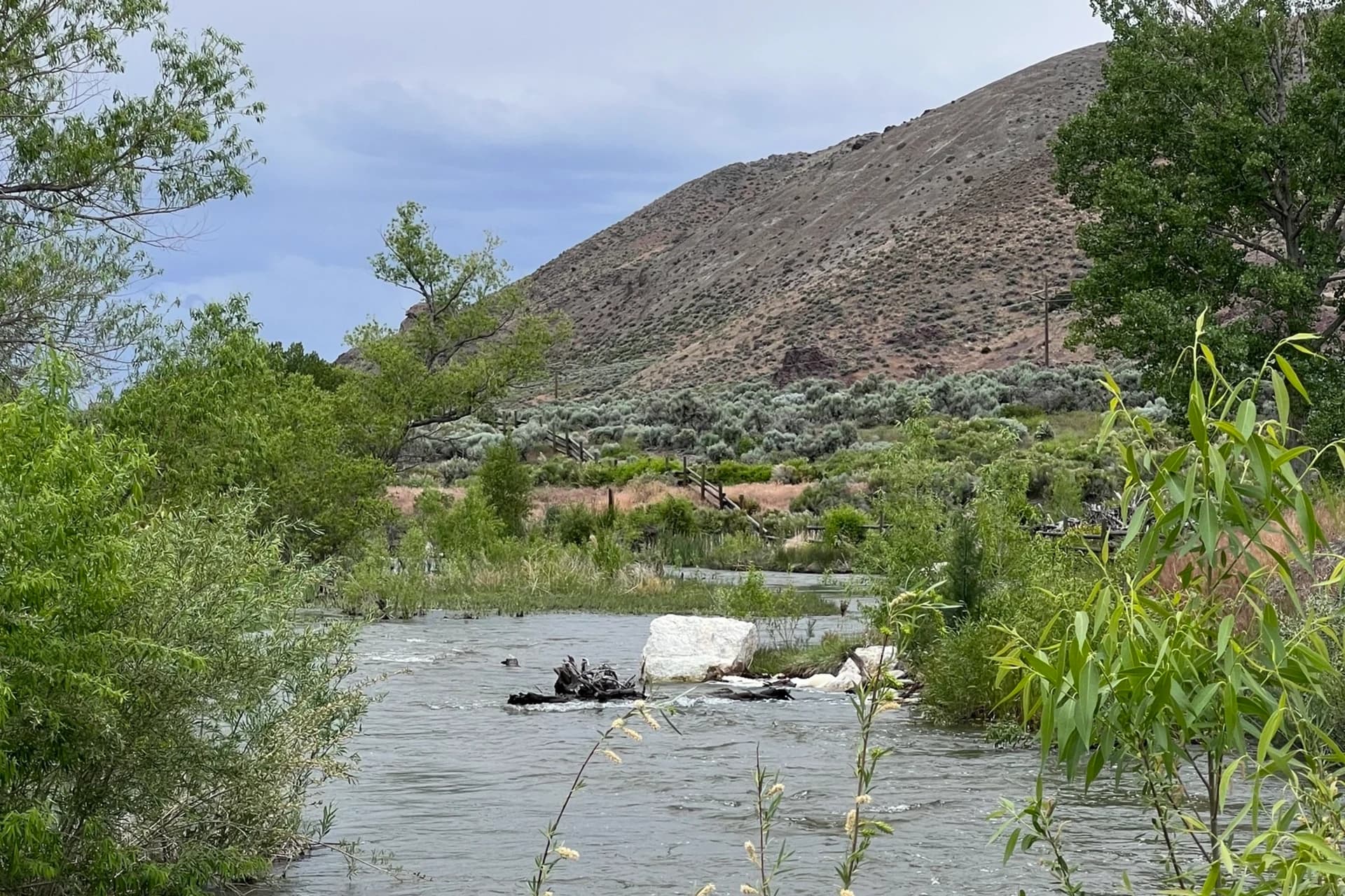 Beaver River - Lower
