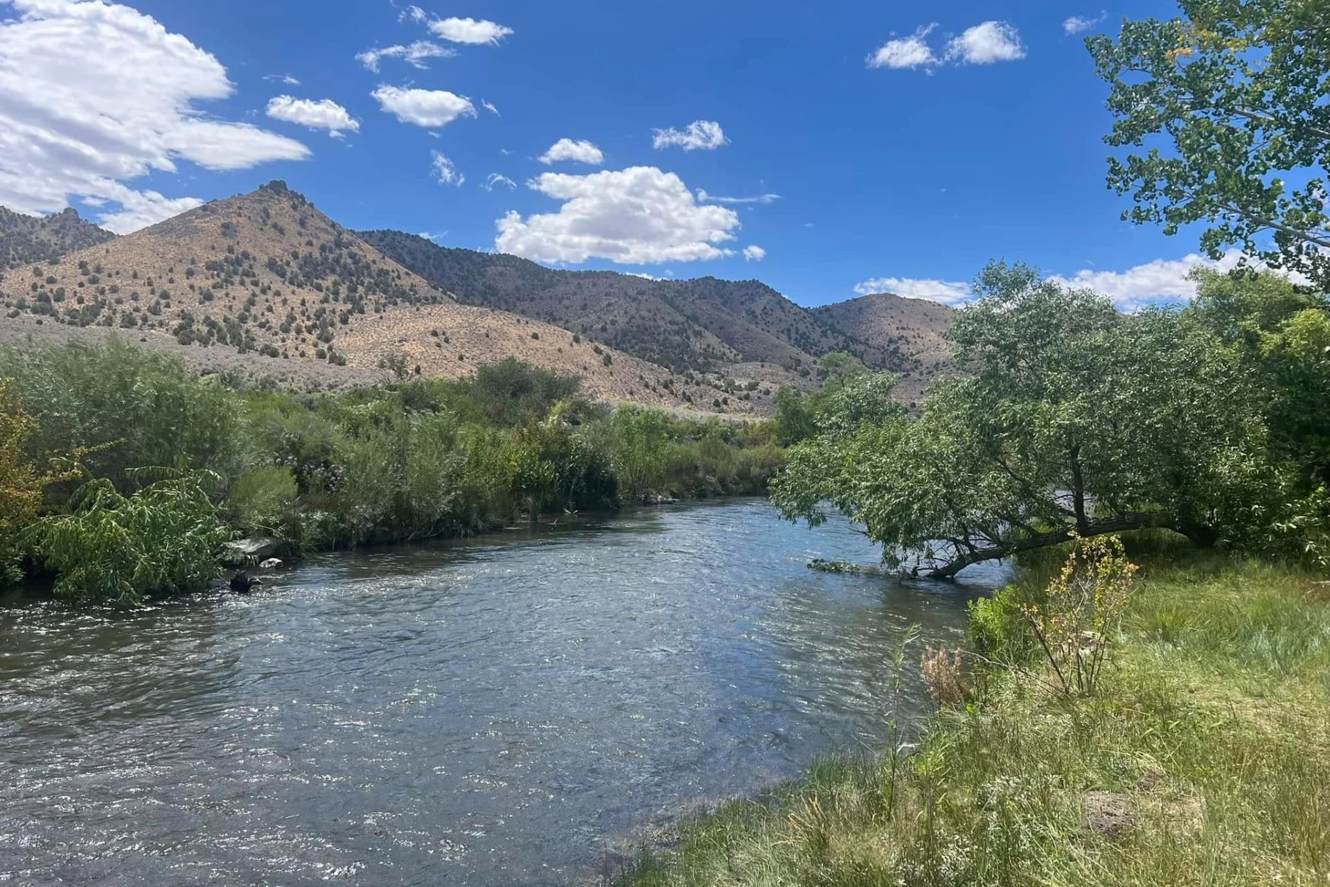 Beaver River - Upper