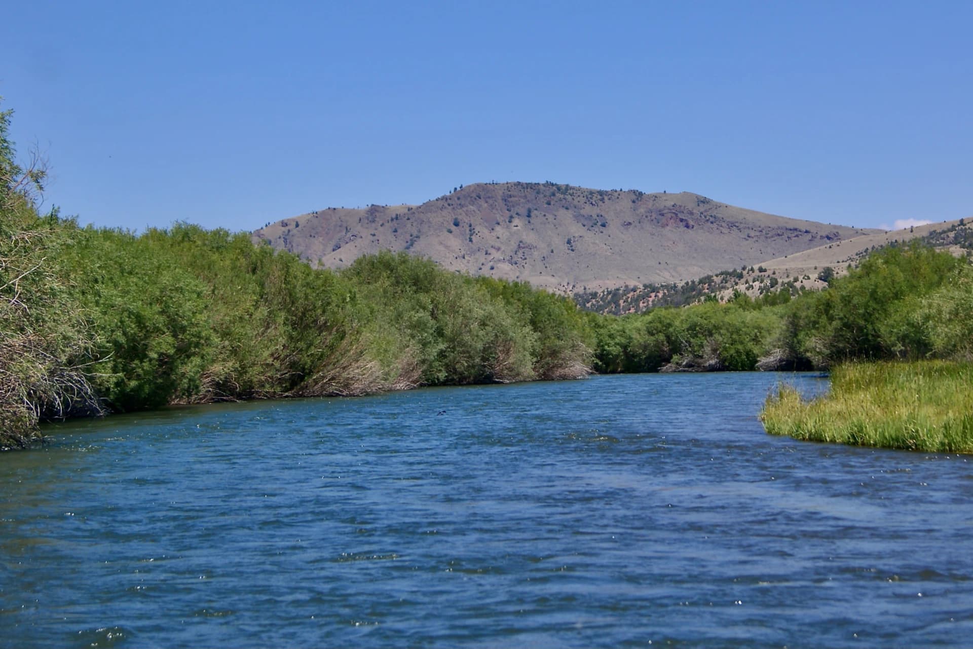 Beaverhead River preview photo