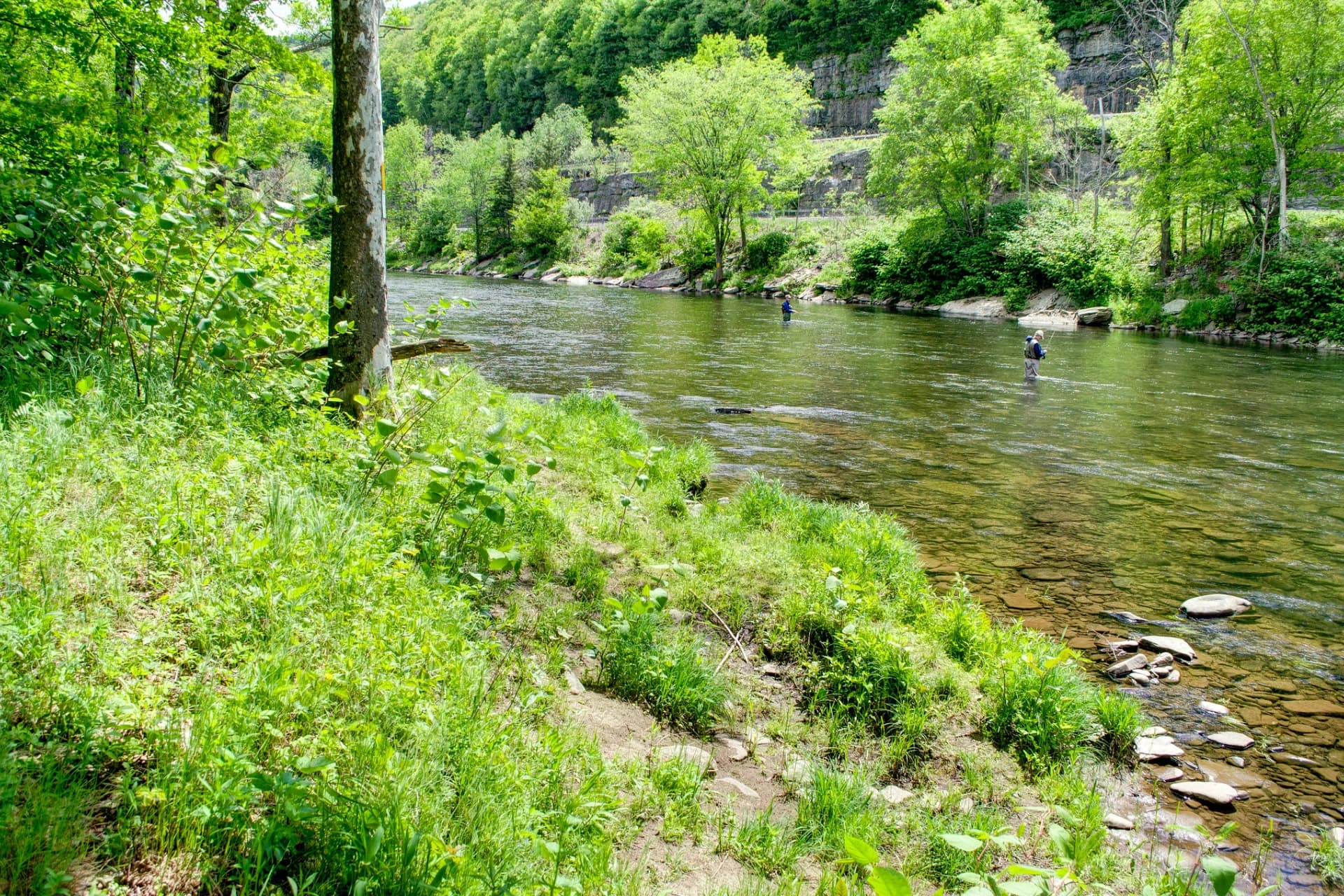 Beaverkill River preview photo