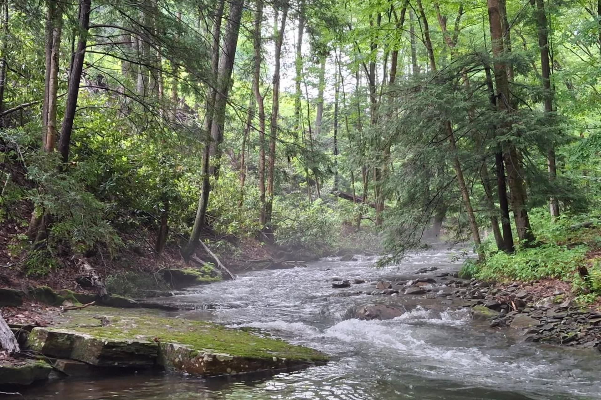 Bell's Gap Run preview photo