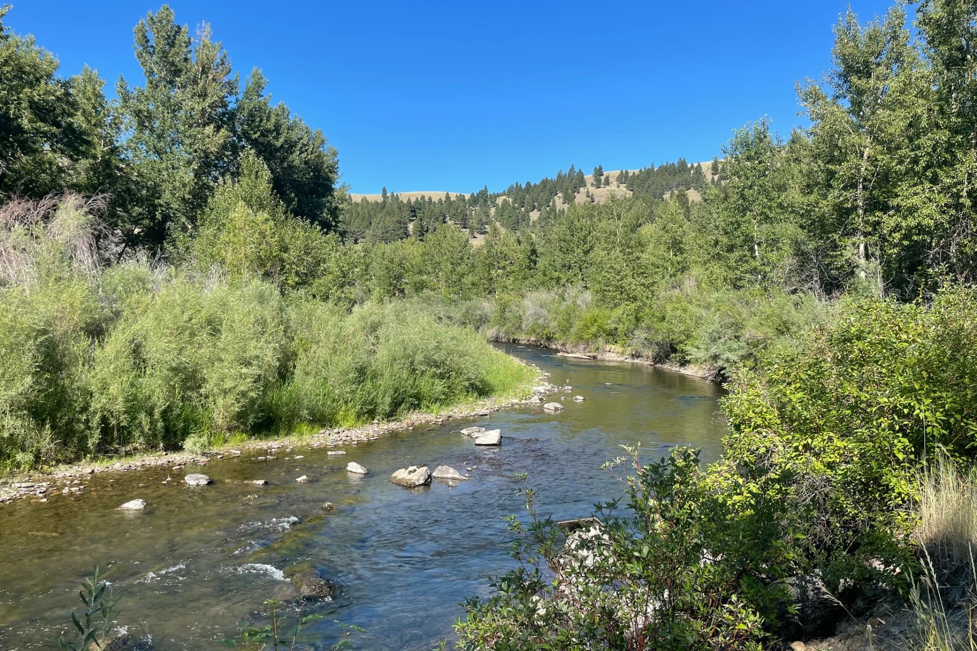 Blackfoot River - Little