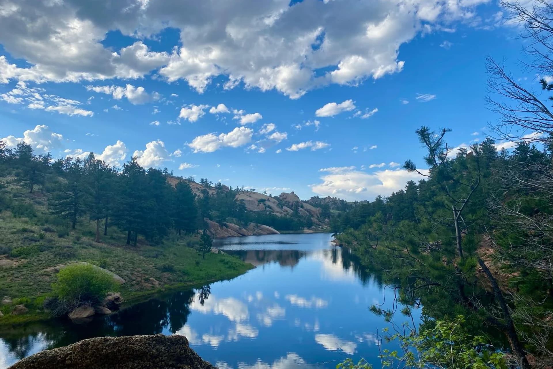 Curt Gowdy preview photo