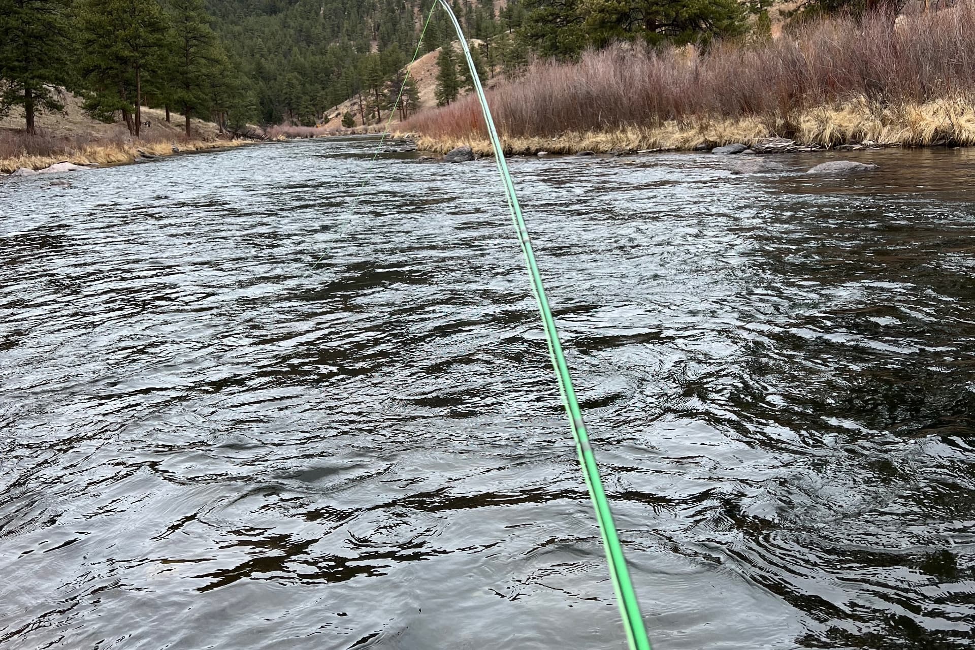 South Platte - Deckers