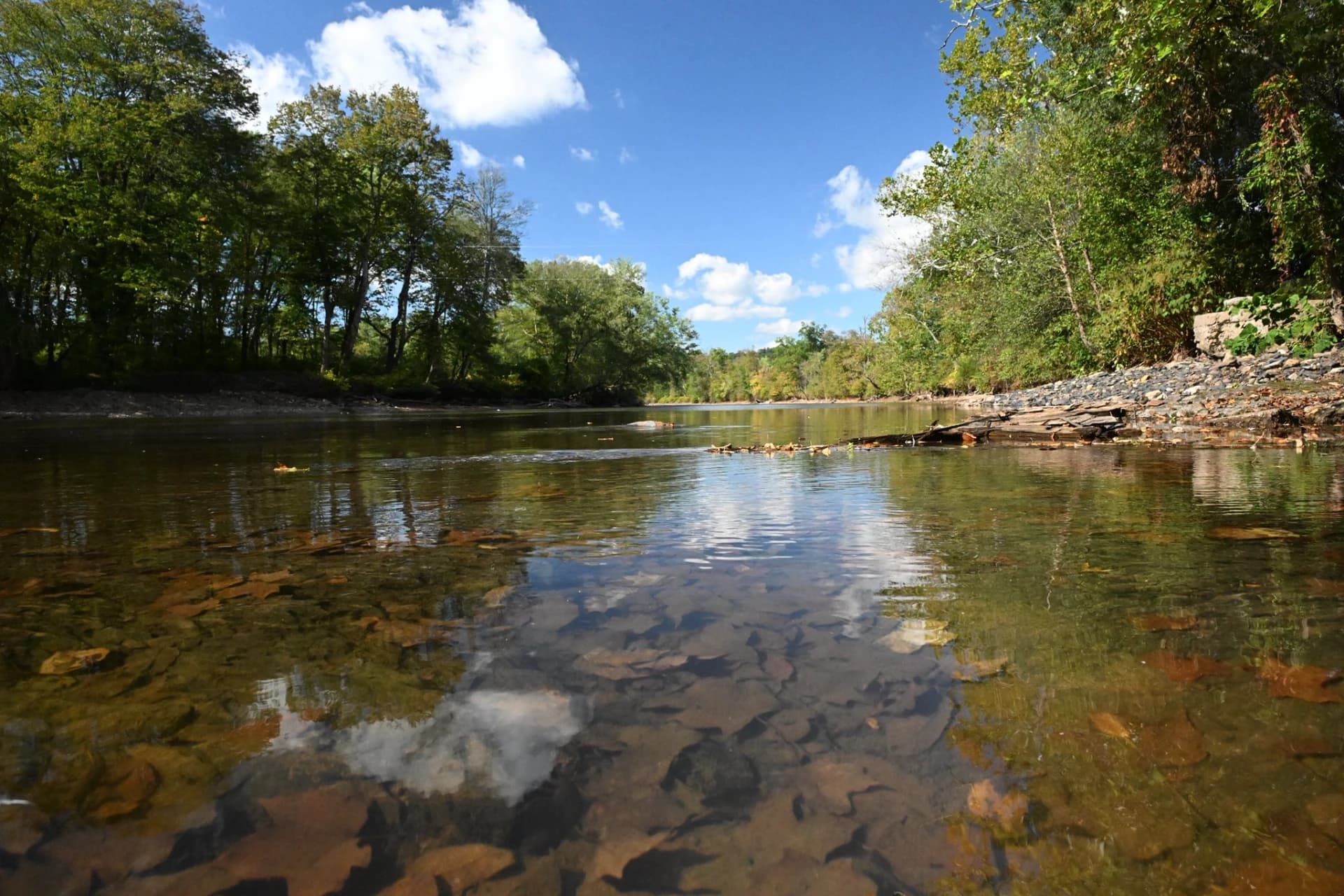Fishing Creek - Bloomsburg