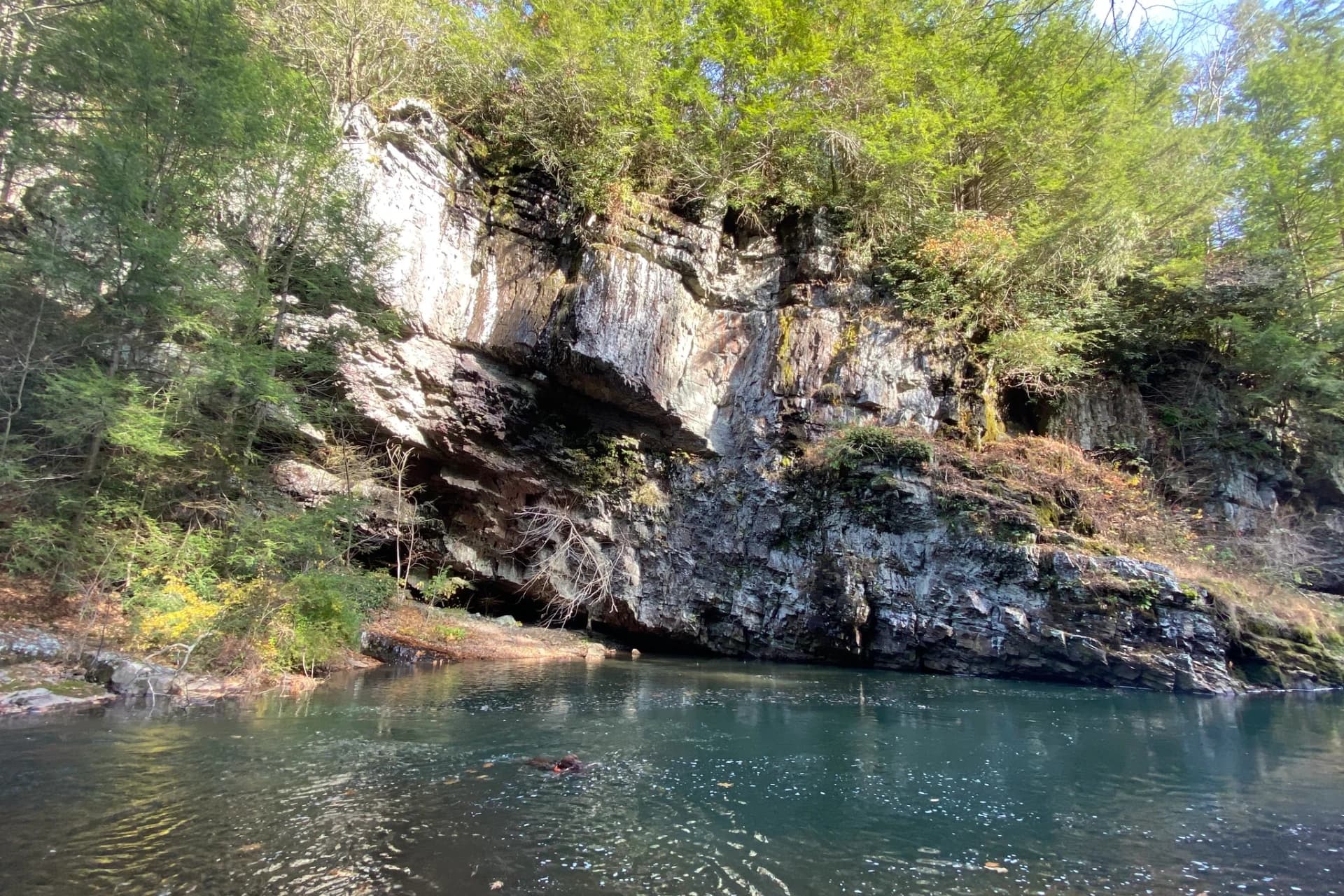 Little Schuylkill River