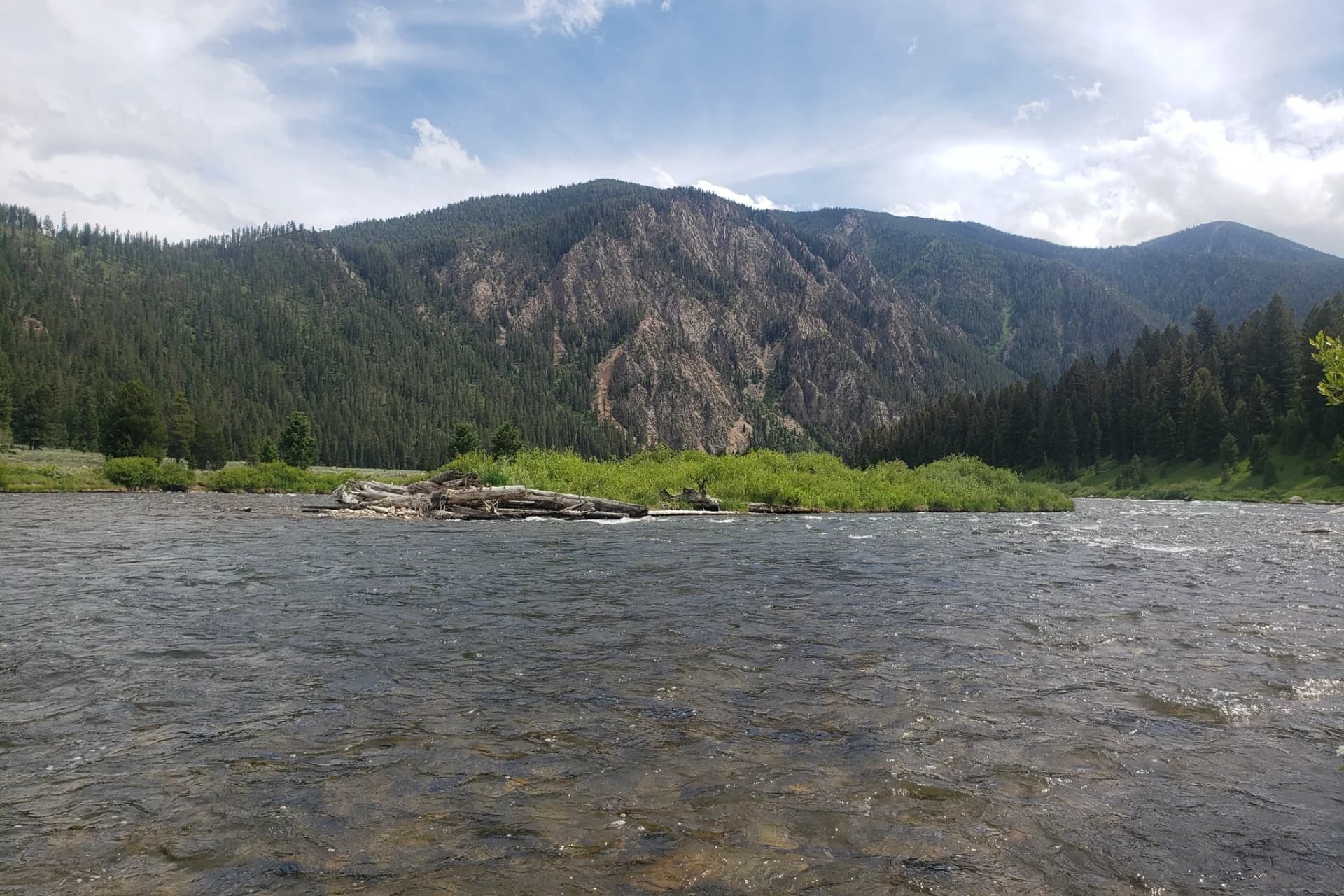 Madison River - Upper