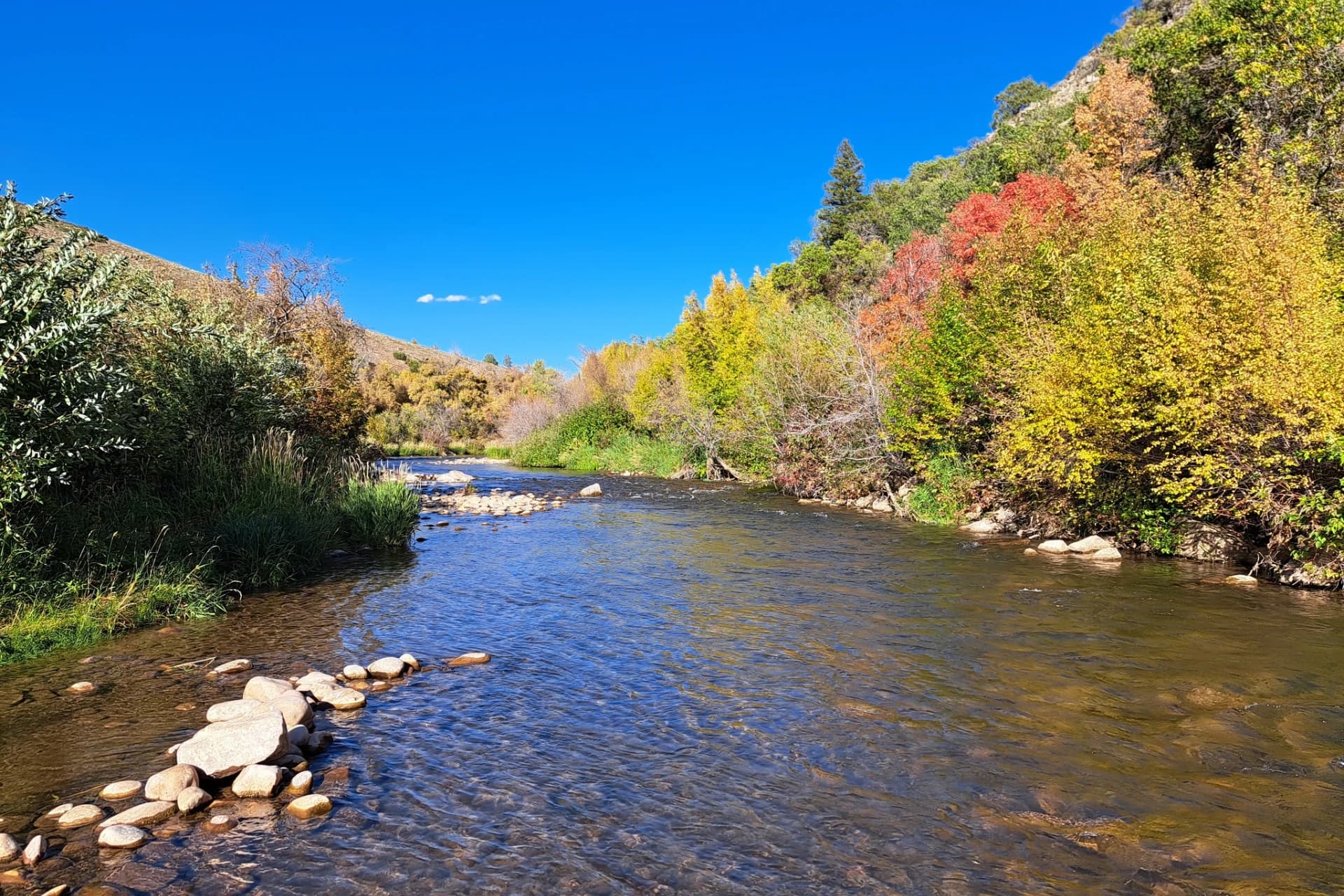Ogden River - South Fork