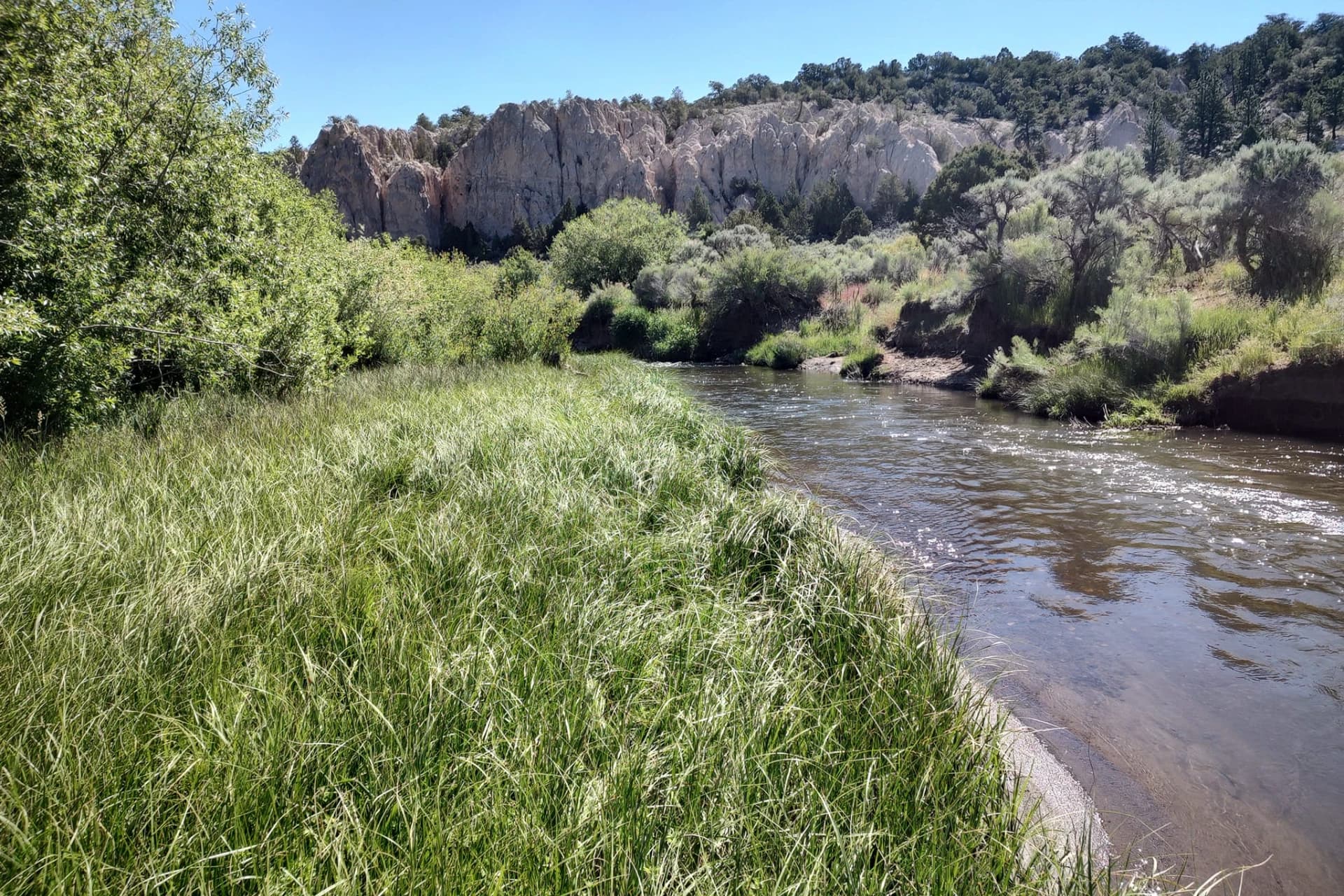 Panguitch Creek