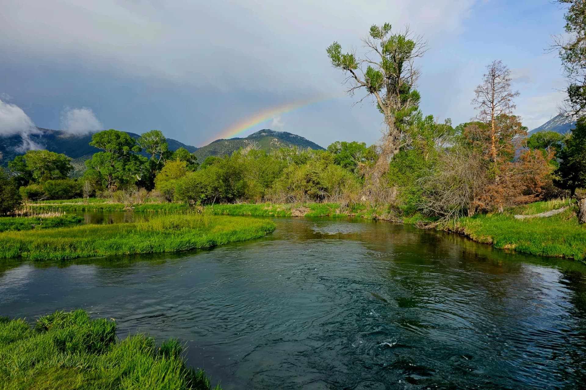 Paradise Valley (Spring Creeks)