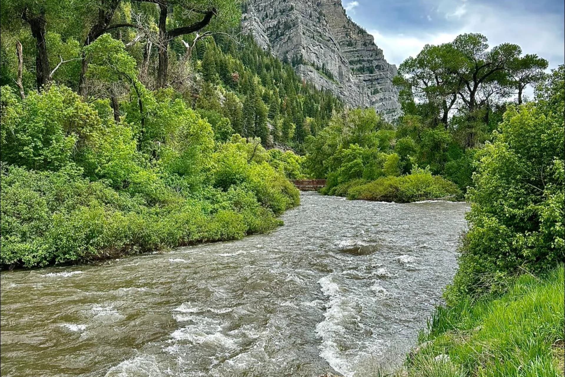 Provo River - Upper