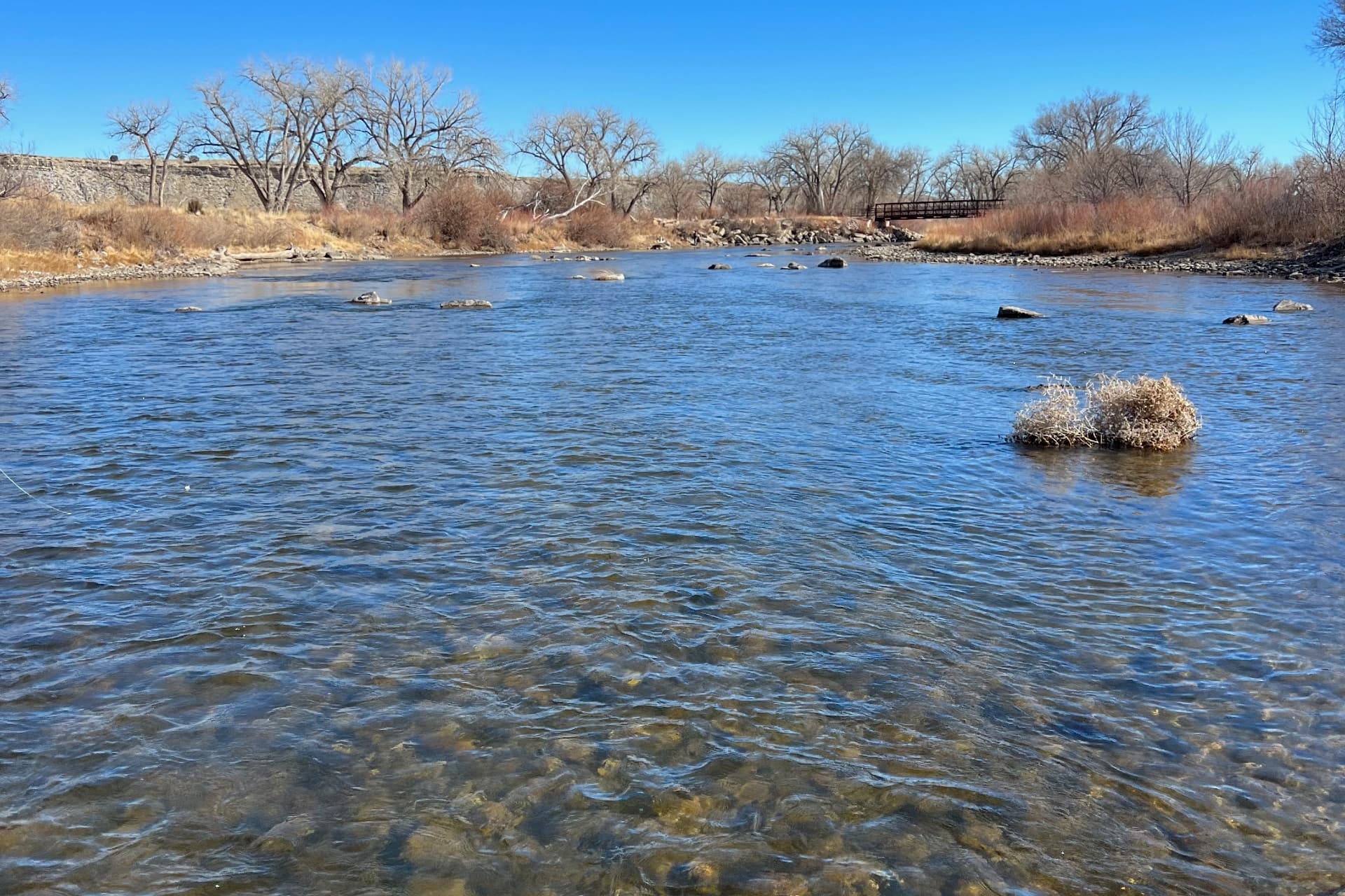 Arkansas River Pueblo Tailwater