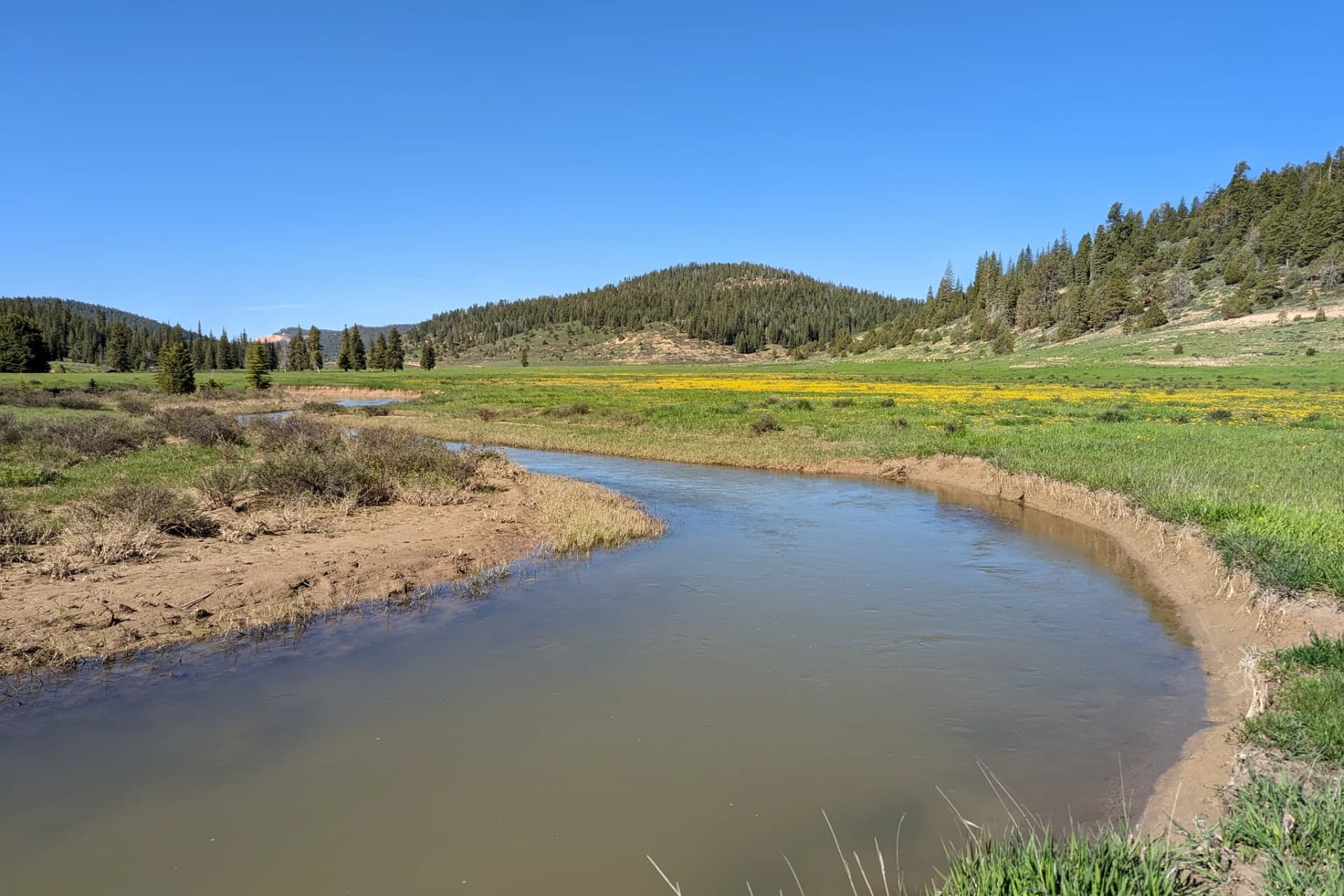 Sevier River - East Fork