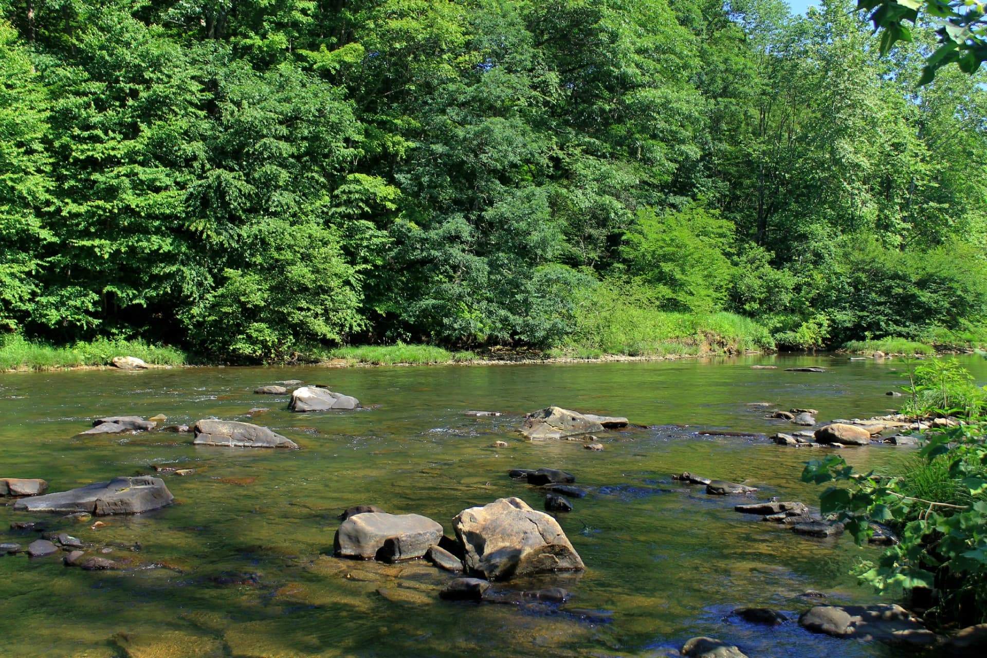 Sinnemahoning Creek - Driftwood Branch