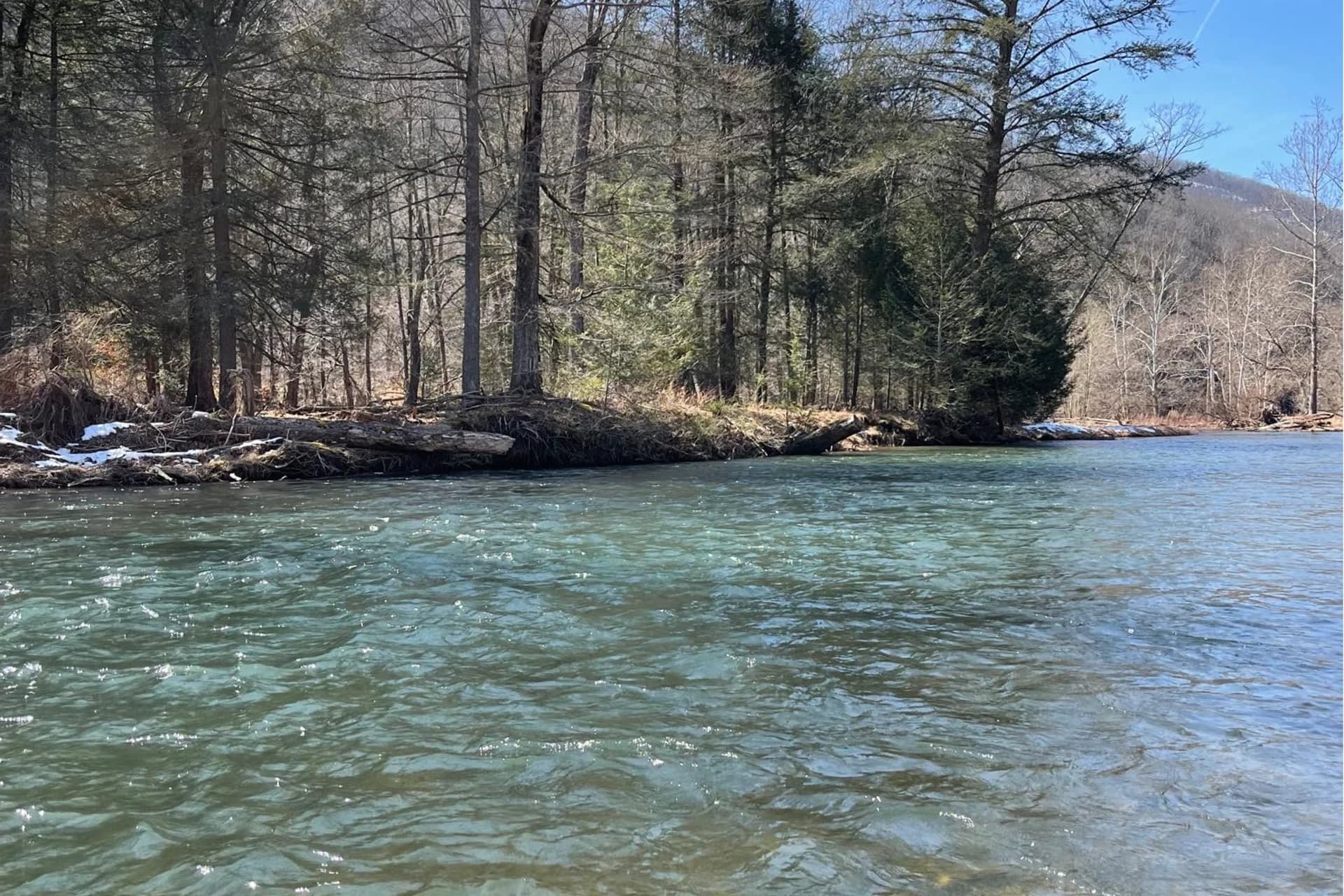 Sinnemahoning - First Fork