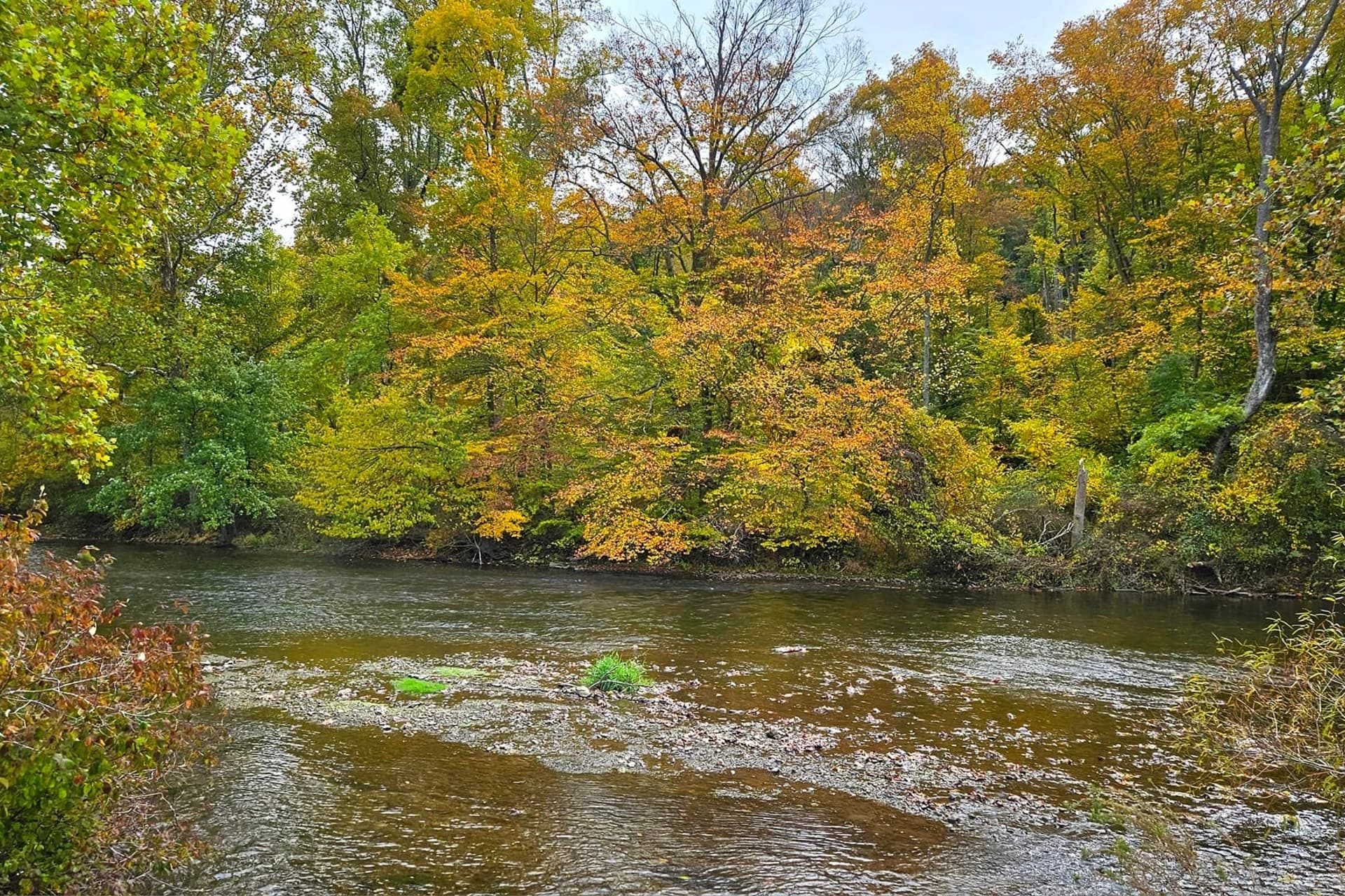 Yellow Breeches Stream