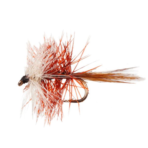 Bi-visible fly pattern - Attractor Patterns dry image