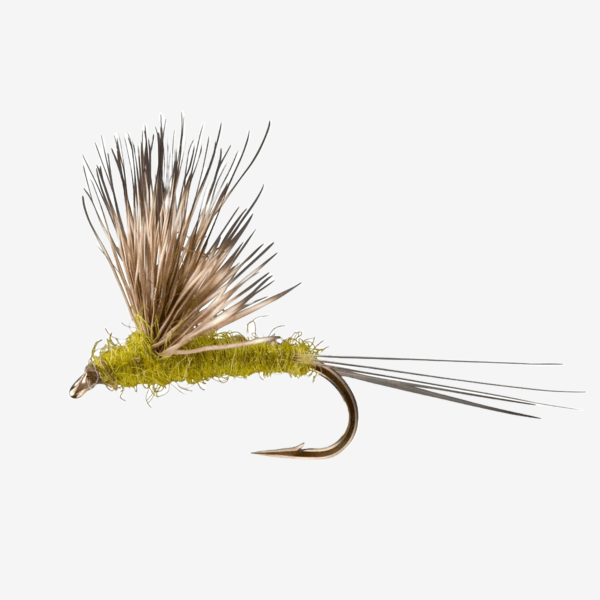 Comparadun  fly pattern - Mayfly emerger image