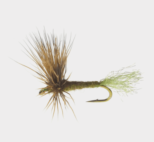 Sparkle Dun fly pattern - Mayfly dry image
