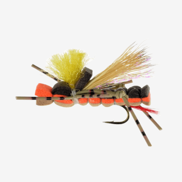 Grasshopper image
