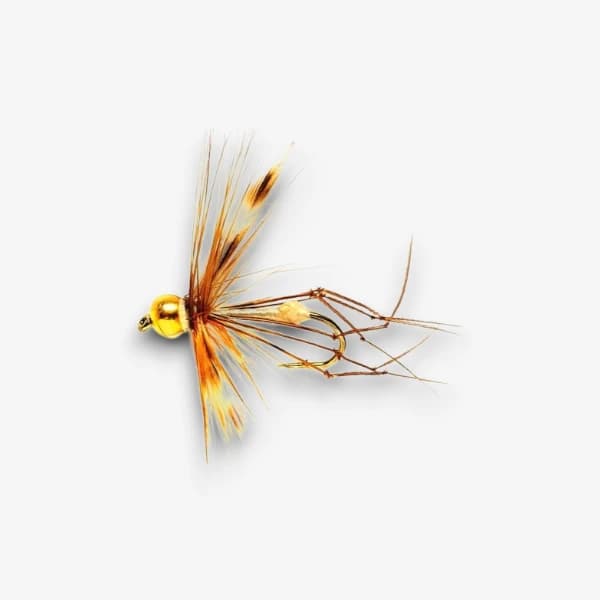 Daddy Gold Nugget image