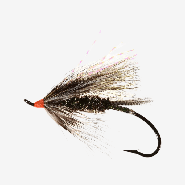 Bennett's Halo fly pattern - Wet Flies streamer image