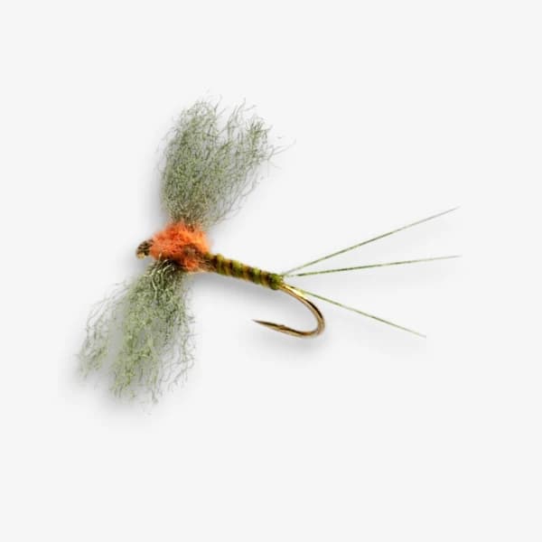 Burkus' Western Green Drake Spinner image