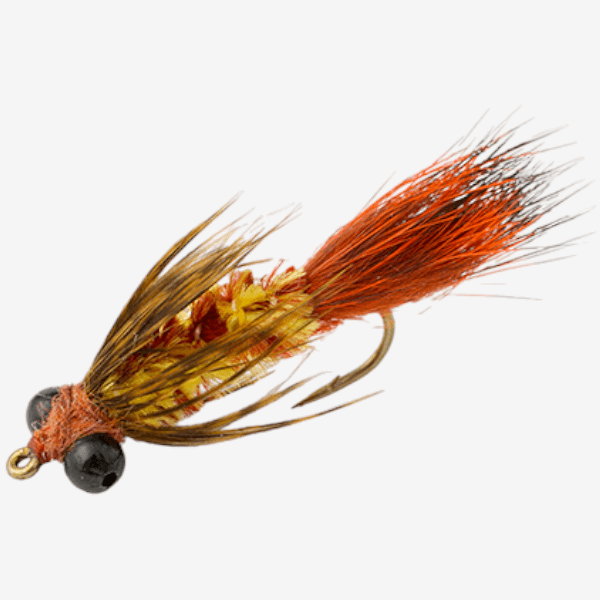 Carp Bug fly pattern - Carp attractor image