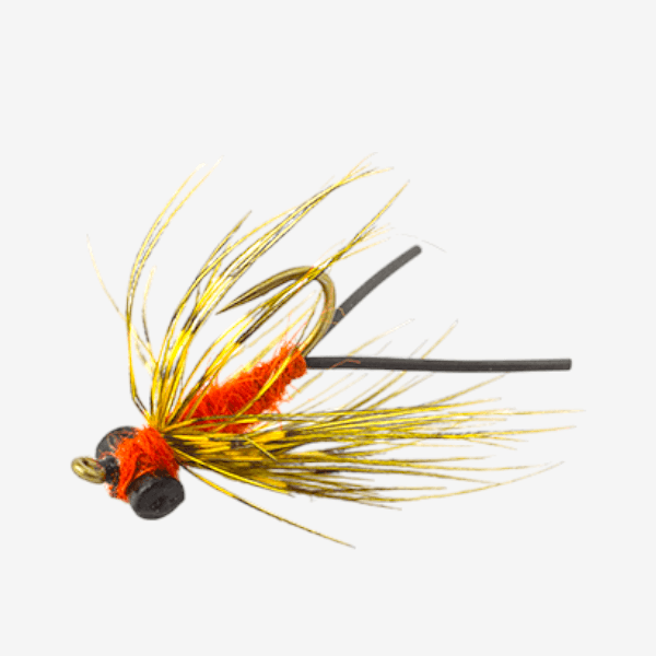 Carp Carrot image
