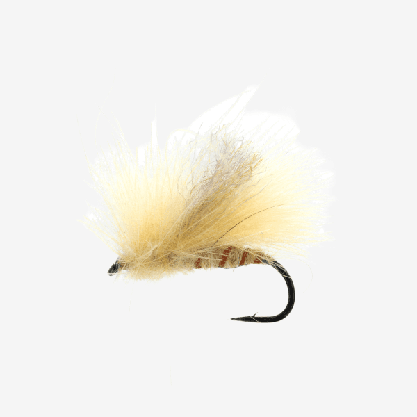 Corn-Fed Spruce Moth image