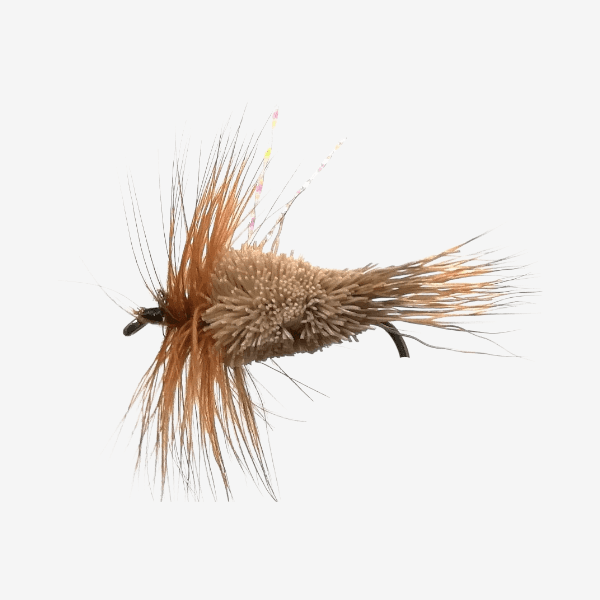 Duckworth’s Dargle Delight (DDD)