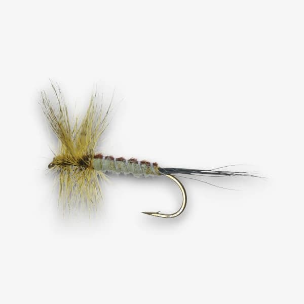 Evergreen Eastern Green Drake fly pattern - Eastern Green Drake dry image