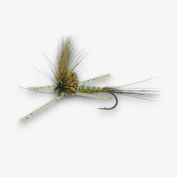 Nealley's Green Drake fly pattern - Green Drake dry image