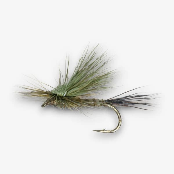 Gunnison Green Drake