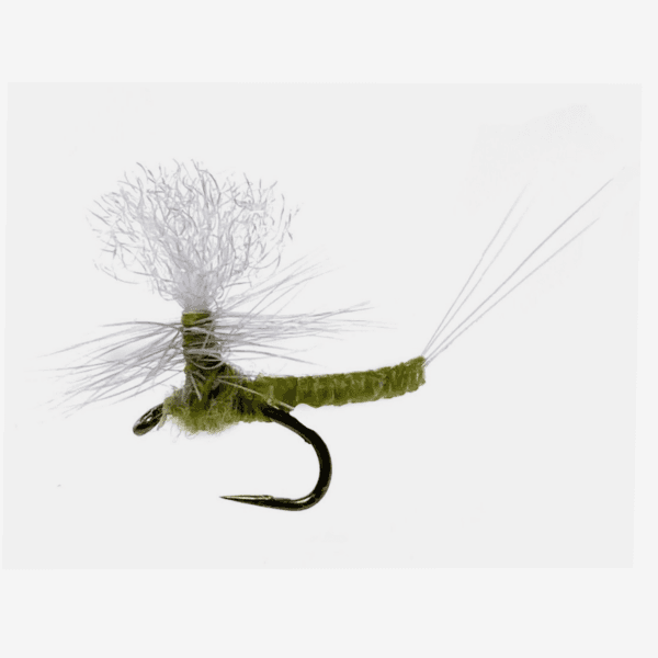 Iwan-E-Dun fly pattern - Mayfly dry image