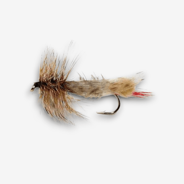 Joe's Hopper image