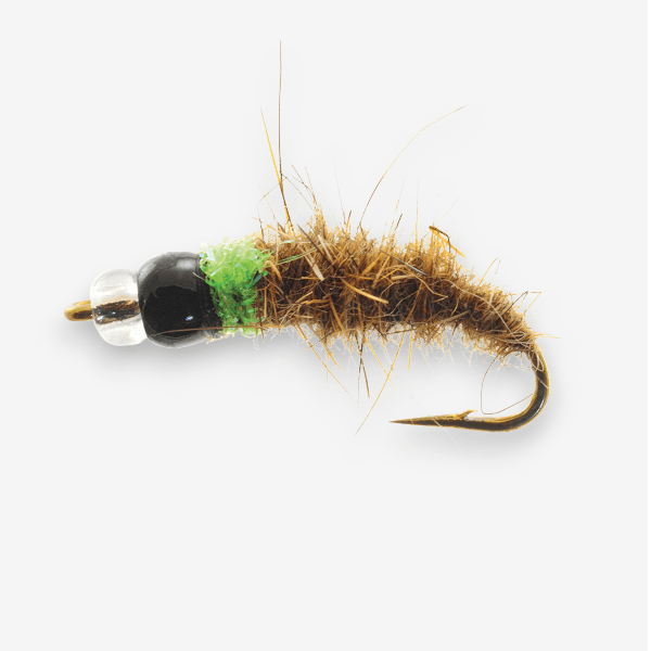 Mercury Caddis