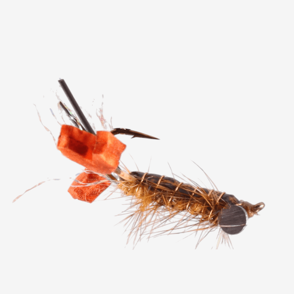 Ritt's Fighting Craw image