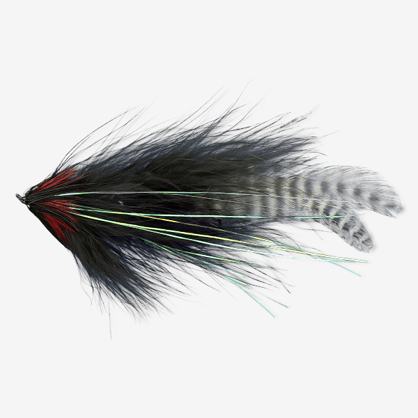 Skagit Minnow fly pattern - Streamers Freshwater baitfish image