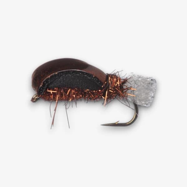 Floating Snail fly pattern - Snail mollusks image