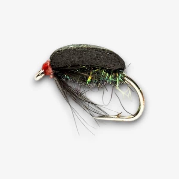 Snail - Floating image