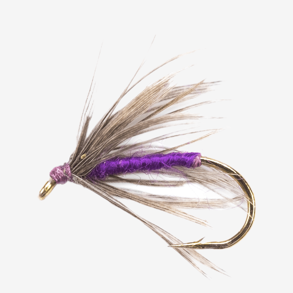 The Snipe & Purple Wet Fly image