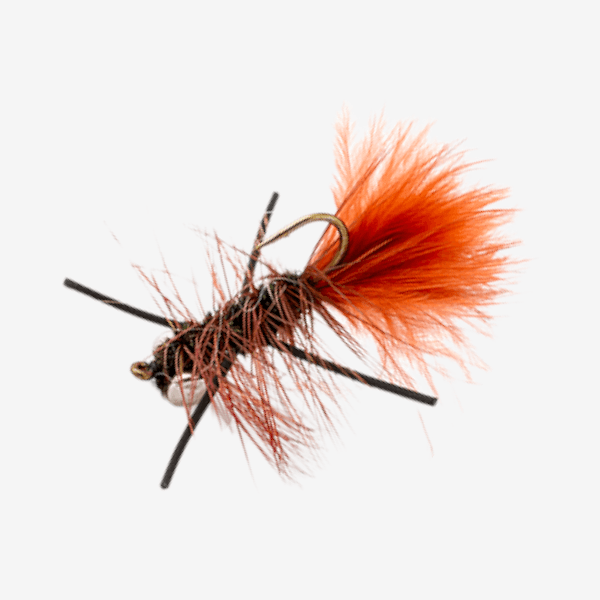 Swimming Halfback fly pattern - Carp attractor image