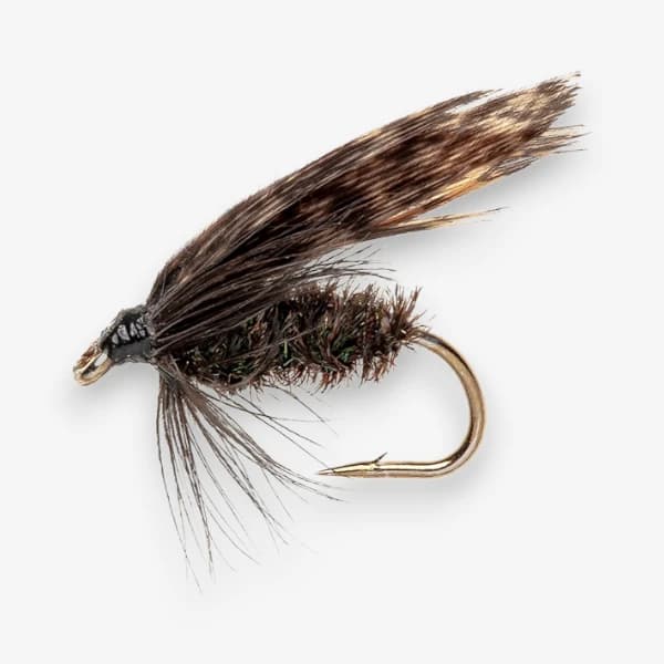 Alderfly Wet image