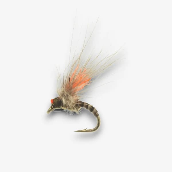 Antonio's Quill Midge