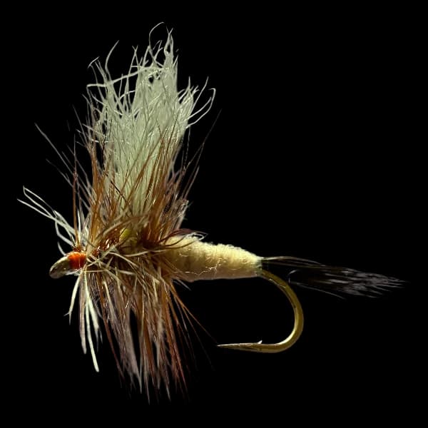 Ausable Wulff image