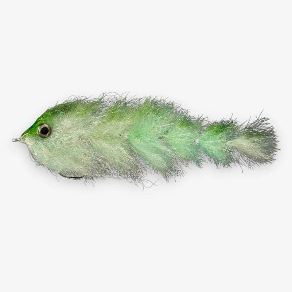 Baby Bone Fish image