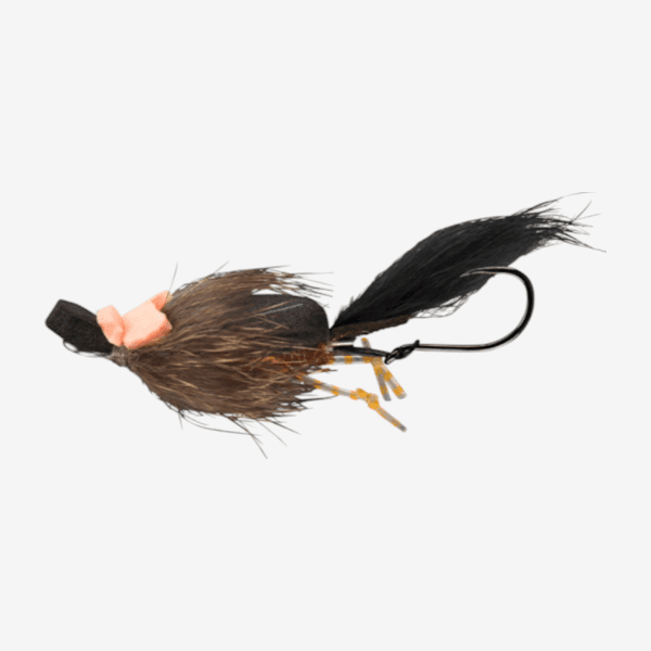 Baby Pip Squeak image